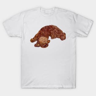 Sleepy head - cavalier king charles spaniel poodle, Cavapoo Cavoodle puppy love T-Shirt